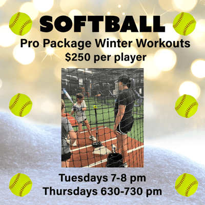 Softball Player Training Academy-2