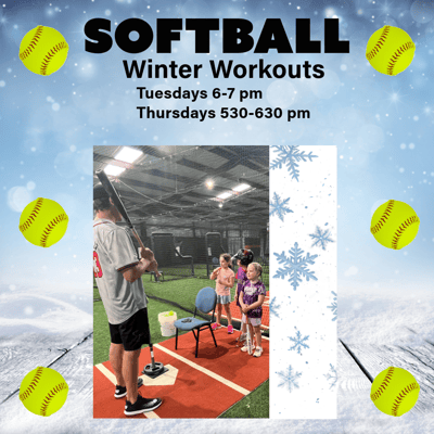 Softball Player Training Academy