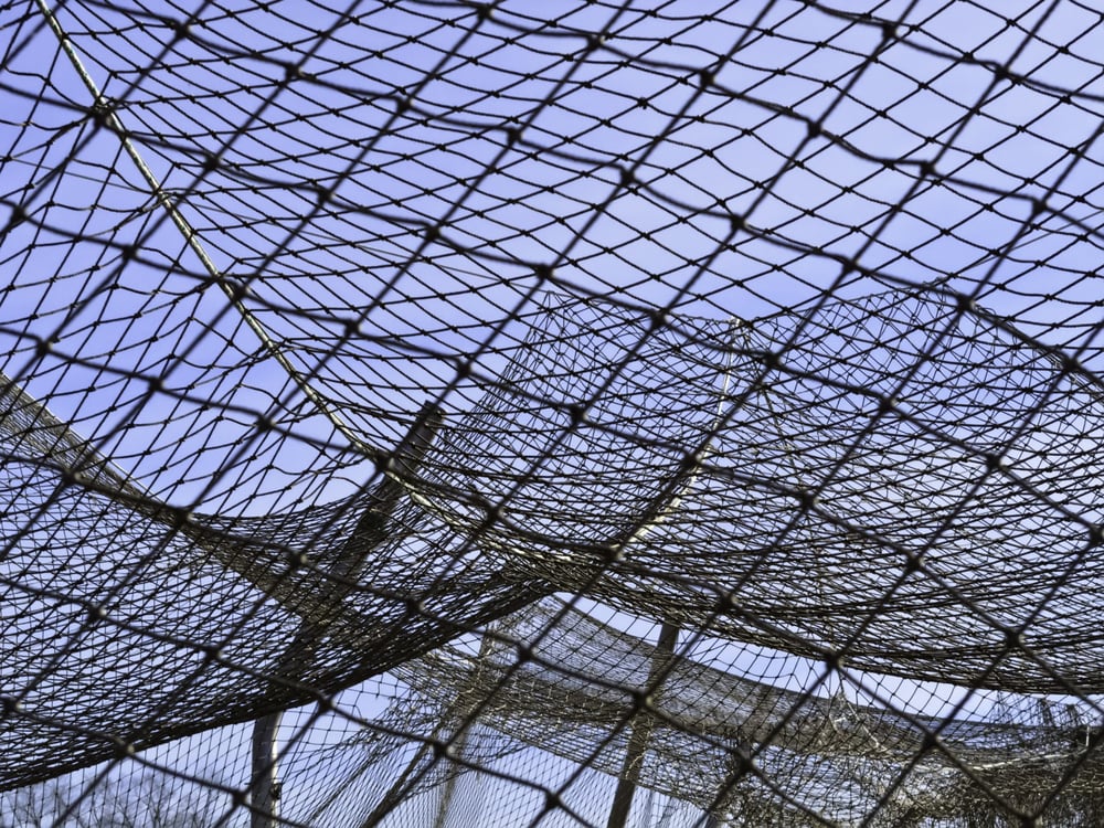 Complexities of practice Part of netting over batting cage by baseball field on campus of community college